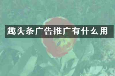 趣头条广告推广有什么用