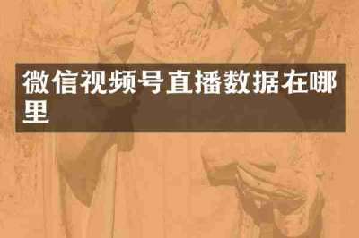 微信视频号直播数据在哪里