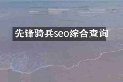 先锋骑兵seo综合查询