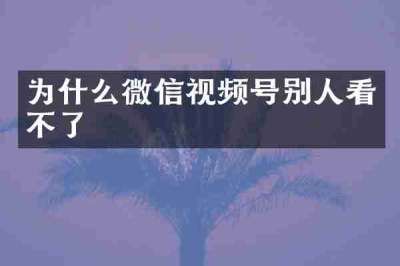 为什么微信视频号别人看不了