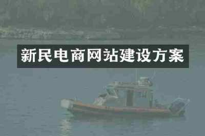 新民电商网站建设方案
