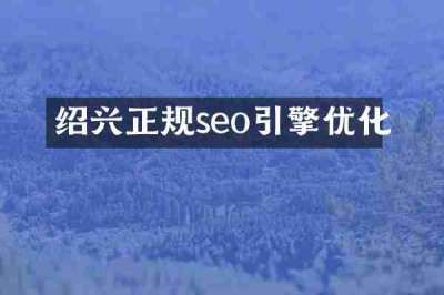 绍兴正规seo引擎优化