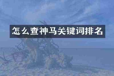 怎么查神马关键词排名