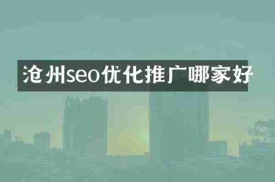 沧州seo优化推广哪家好