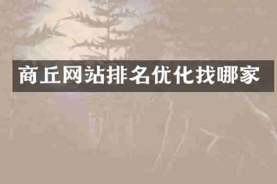 商丘网站排名优化找哪家