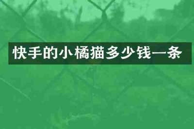 快手的小橘猫多少钱一条