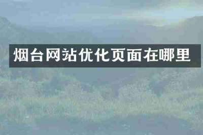 烟台网站优化页面在哪里