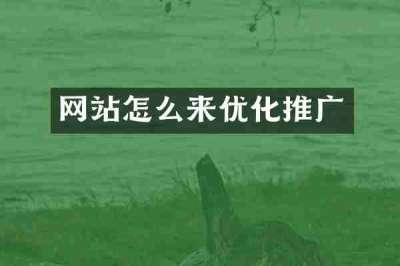 网站怎么来优化推广