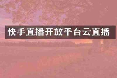 快手直播开放平台云直播