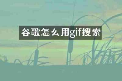 谷歌怎么用gif搜索