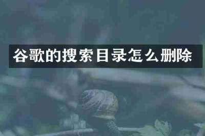 谷歌的搜索目录怎么删除