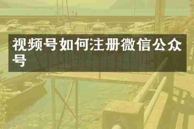 视频号如何注册微信公众号