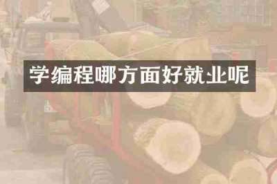 学编程哪方面好就业呢