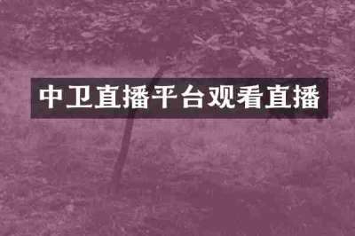 中卫直播平台观看直播