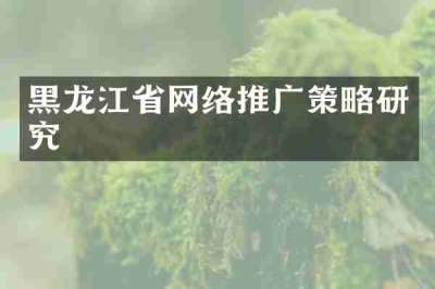 黑龙江省网络推广策略研究