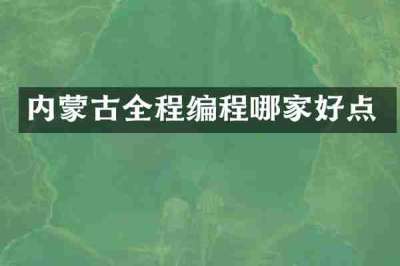 内蒙古全程编程哪家好点
