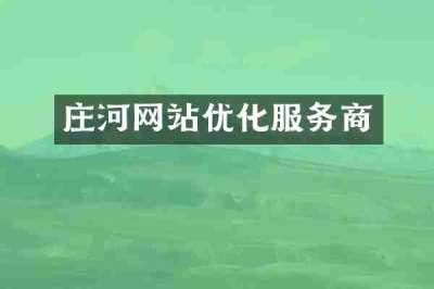 庄河网站优化服务商