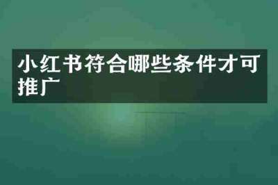 小红书符合哪些条件才可推广