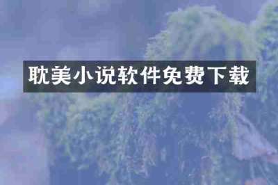 耽美小说软件免费下载