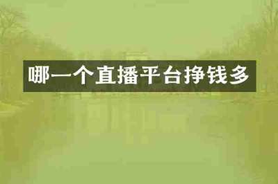 哪一个直播平台挣钱多