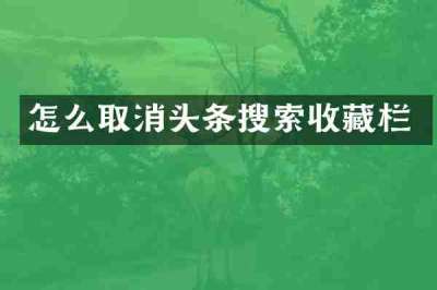 怎么取消头条搜索收藏栏