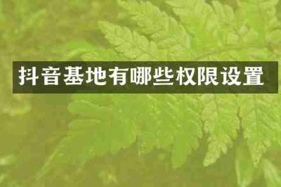 抖音基地有哪些权限设置