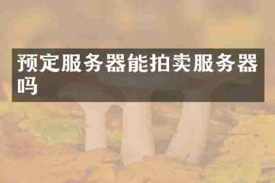 预定服务器能拍卖服务器吗