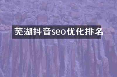 芜湖抖音seo优化排名