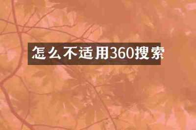 怎么不适用360搜索