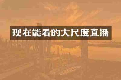 现在能看的大尺度直播