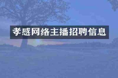 孝感网络主播招聘信息