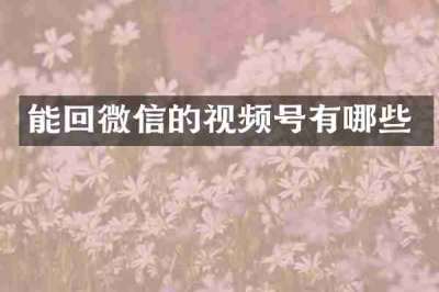 能回微信的视频号有哪些