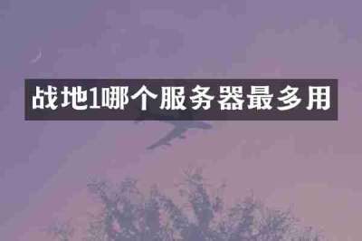 战地1哪个服务器最多用