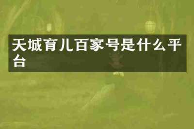 天城育儿百家号是什么平台