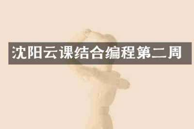 沈阳云课结合编程第二周