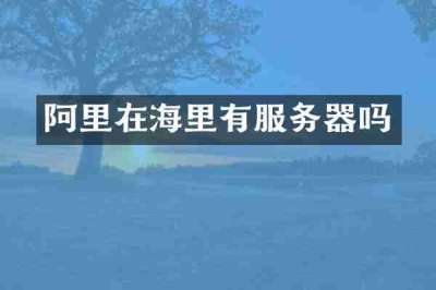 阿里在海里有服务器吗
