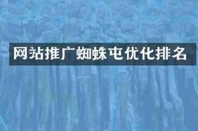 网站推广蜘蛛屯优化排名