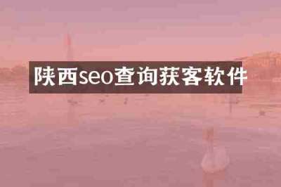陕西seo查询获客软件