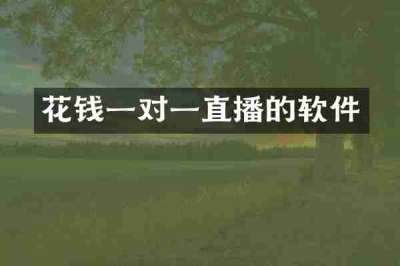 花钱一对一直播的软件