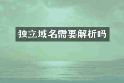 独立域名需要解析吗