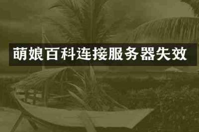 萌娘百科连接服务器失效