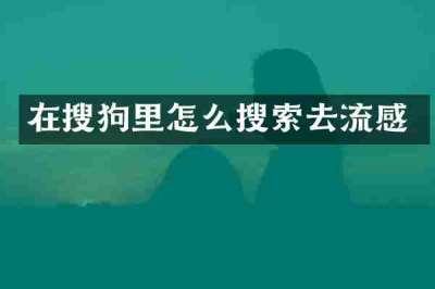 在搜狗里怎么搜索去流感