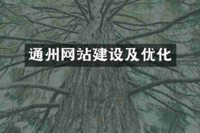 通州网站建设及优化
