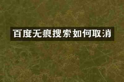 百度无痕搜索如何取消
