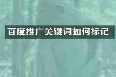 百度推广关键词如何标记