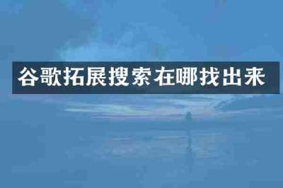 谷歌拓展搜索在哪找出来