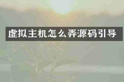 虚拟主机怎么弄源码引导