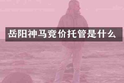 岳阳神马竞价托管是什么