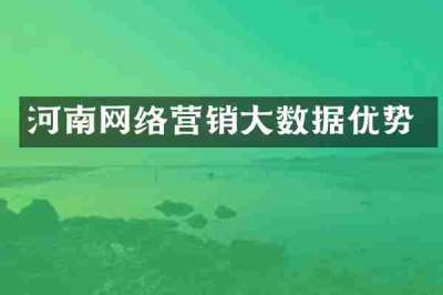 河南网络营销大数据优势