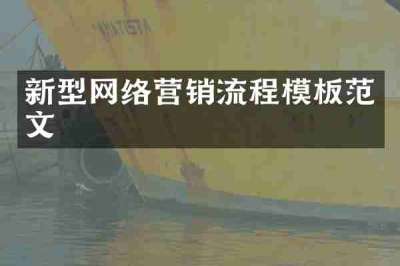 新型网络营销流程模板范文